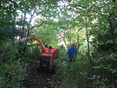Tree work